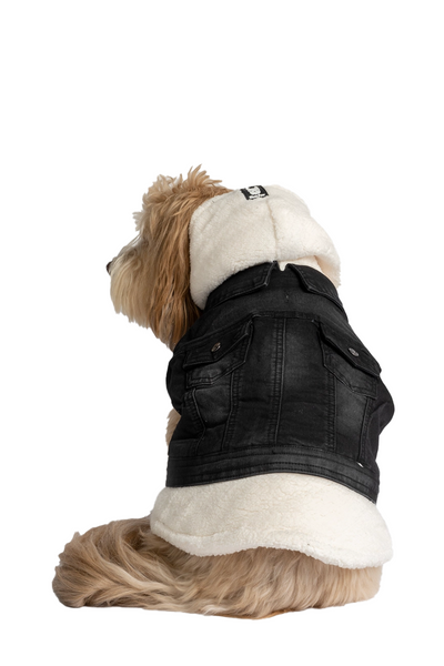 Silver Paw - Justin Denim Dog Jacket in Black