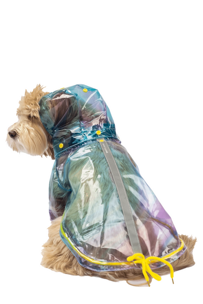 Silver Paw - Kinney Dog Translucent Raincoat with Removable Hood