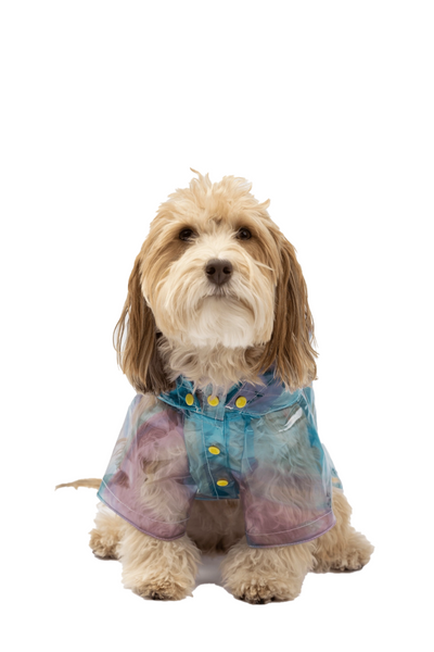 Silver Paw - Kinney Dog Translucent Raincoat with Removable Hood
