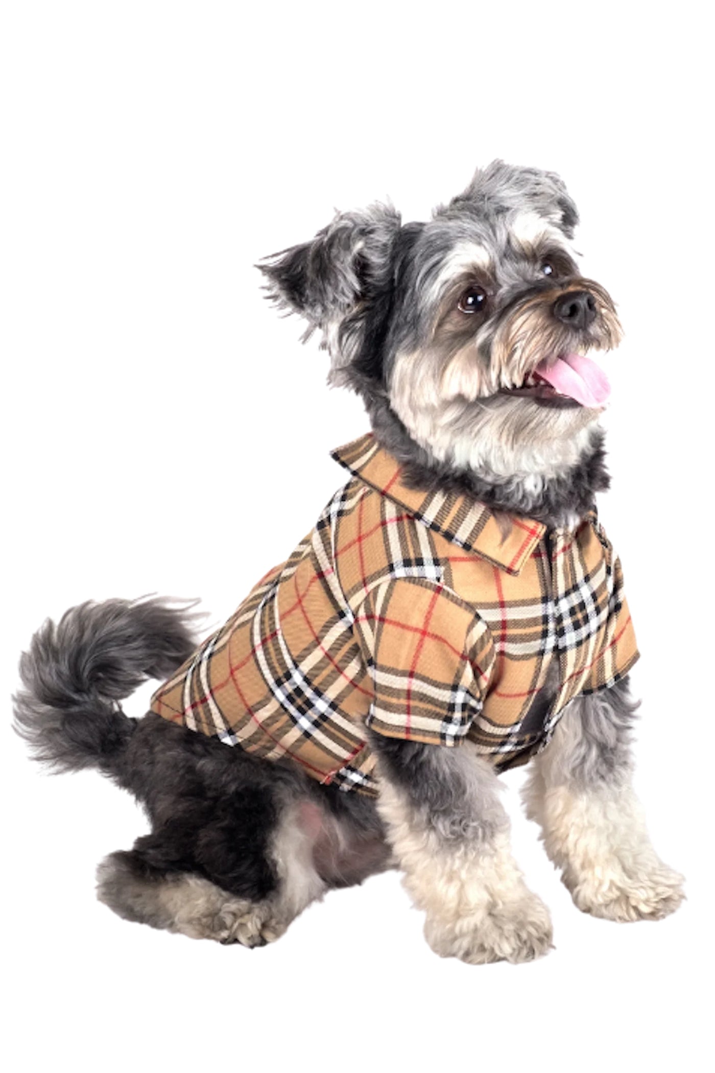 The Worthy Dog: Tan Plaid Button-down Pet Shirt