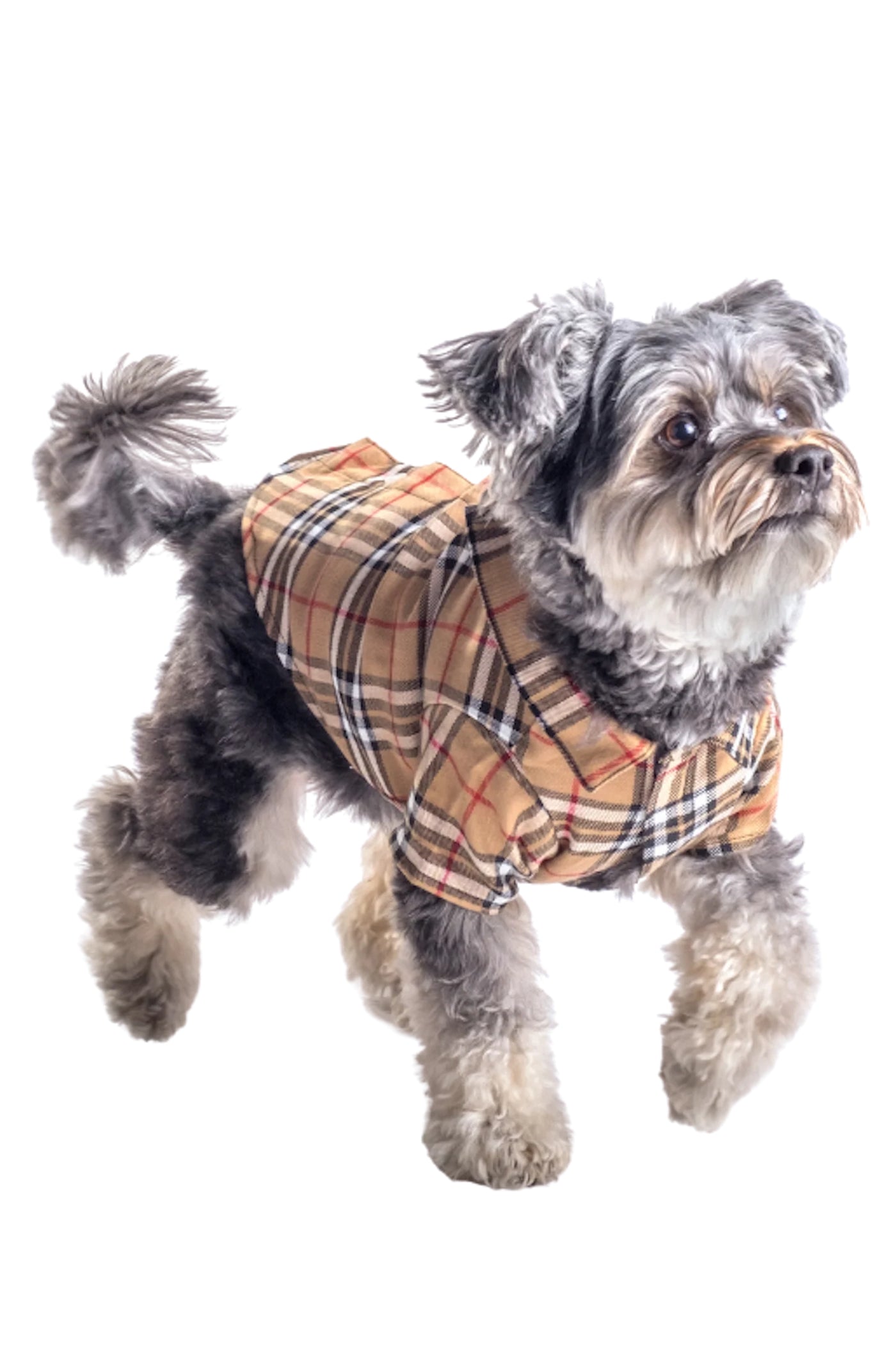 The Worthy Dog: Tan Plaid Button-down Pet Shirt