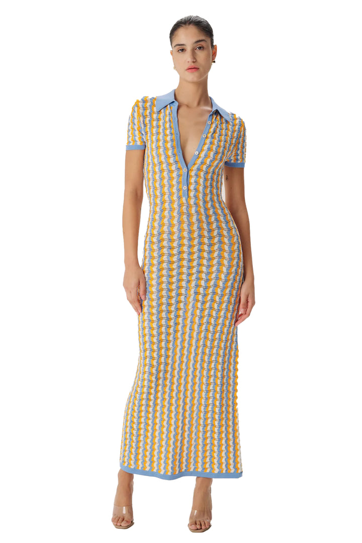 RONNY KOBO QUINLAN MAXI KNIT DRESS WITH SHORT SLEEVE AND BUTTON FRONT RONNY KOBO QUINLAN MAXI KNIT DRESS WITH SHORT SLEEVE AND BUTTON FRONT