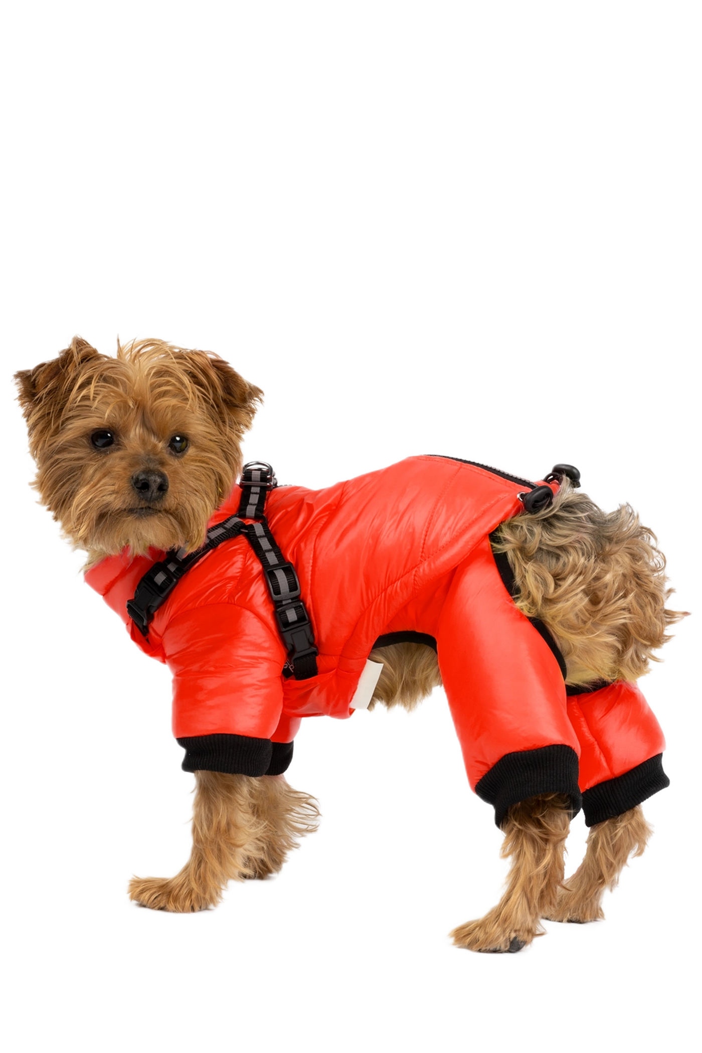 Silver Paw - Whistler Two Piece Full Body Snowsuit