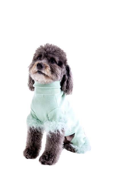Maxbone Turtleneck Luxe Pet Knit Onesie with Feather Trim